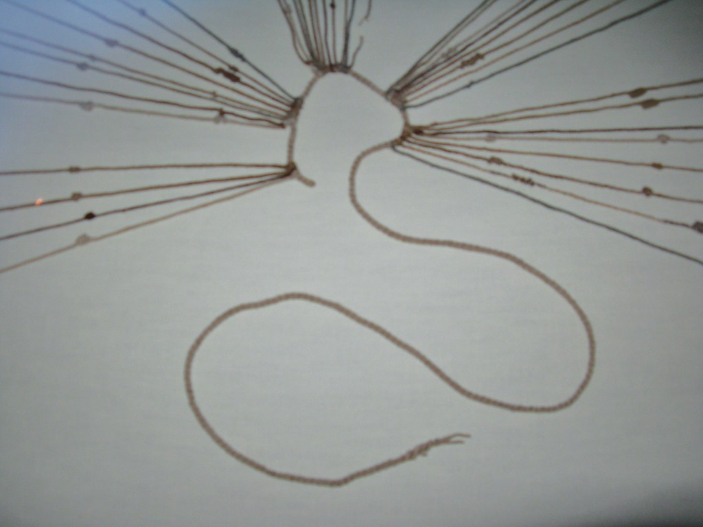 Quipu Quipu was a means accounting but may have also had t… Flickr