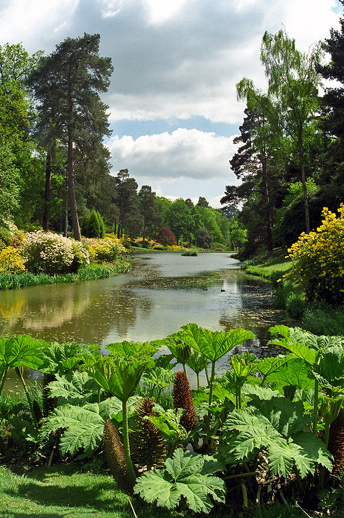 Leonardslee Gardens, West Sussex, UK Lake view with Gunn… Flickr