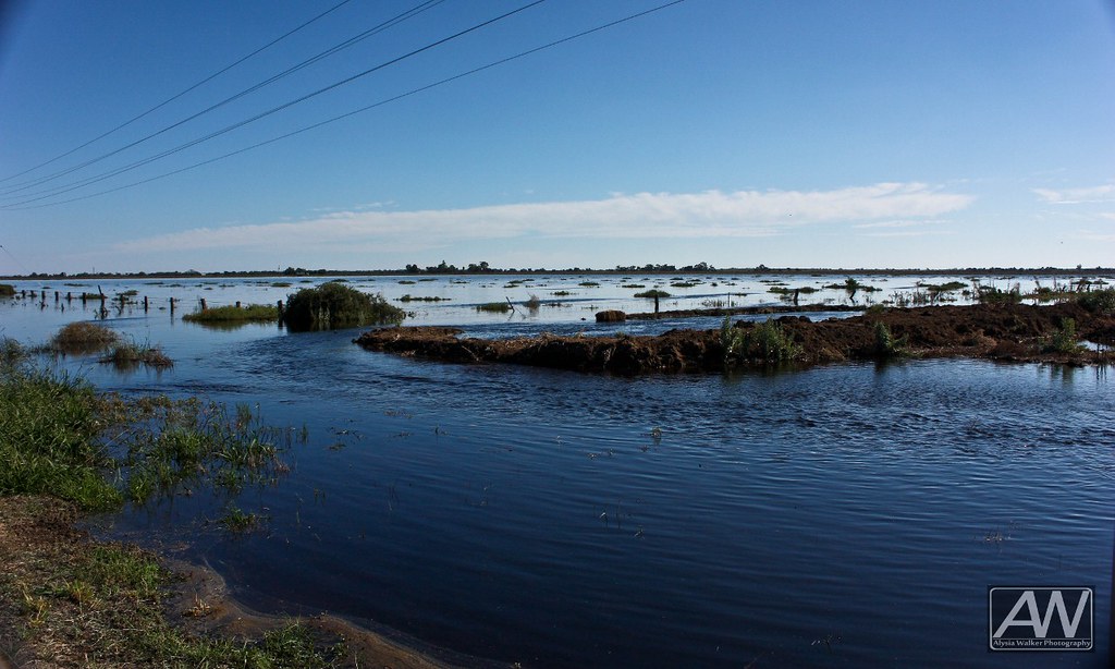 Kerang Floods 2011 Alysia Walker Photography Flickr