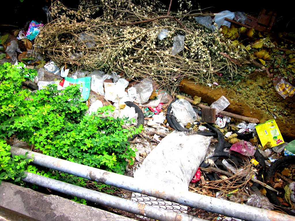 Lovely green plants with not so lovely rubbish_Johan Flickr