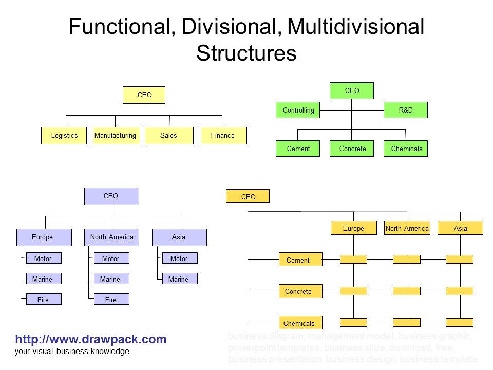 Diagram Of Divisional Structure