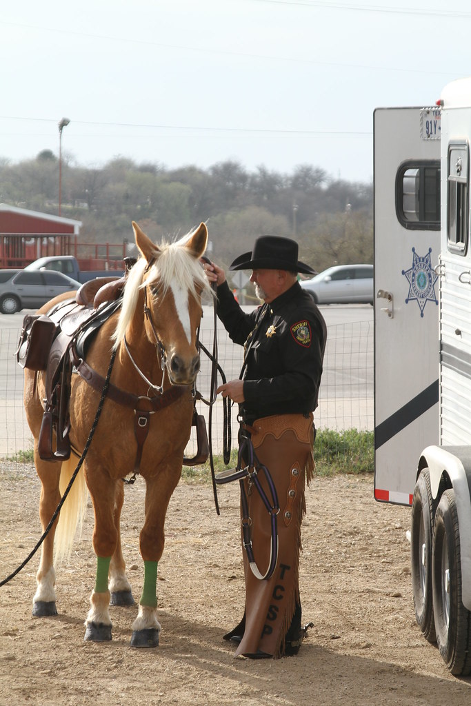 RM Performance Horses Texas A week spent with Maddy and … Flickr