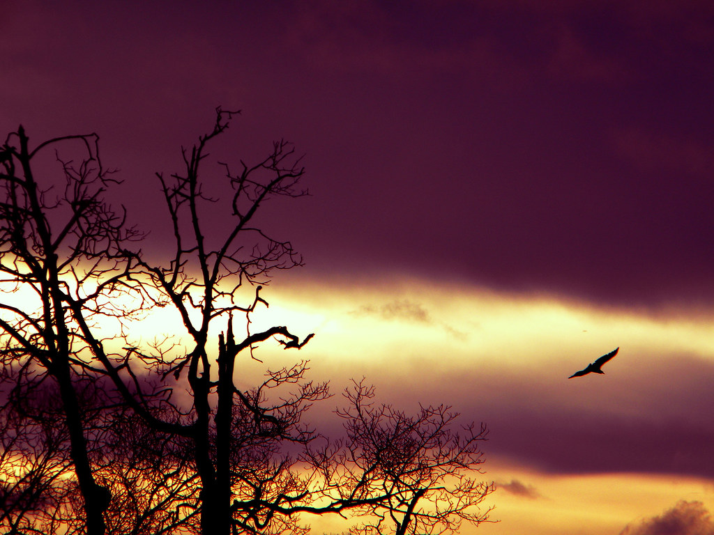 boa noite céu fotografia Fenelon Neto Fenelon Neto Flickr