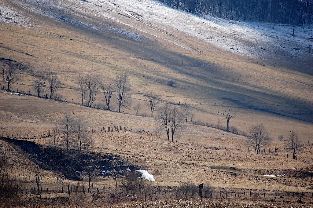 Elevation of Thomas Rd, Schenevus, NY, USA Topographic Map Altitude Map
