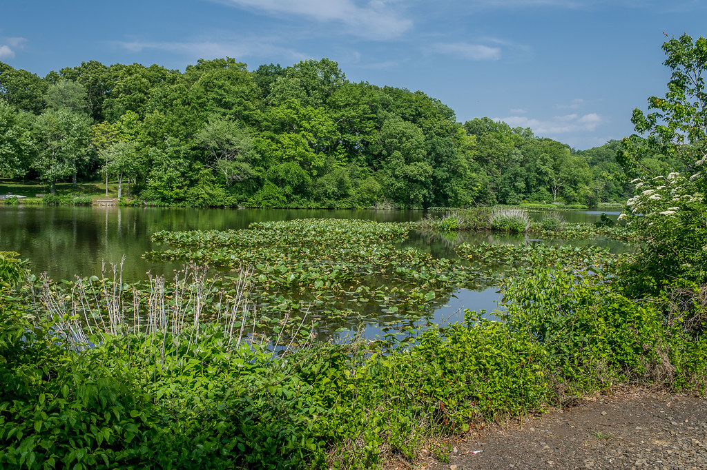Jamesburg, New Jersey Lake Manalapan, Thompson Park, Middl… Flickr