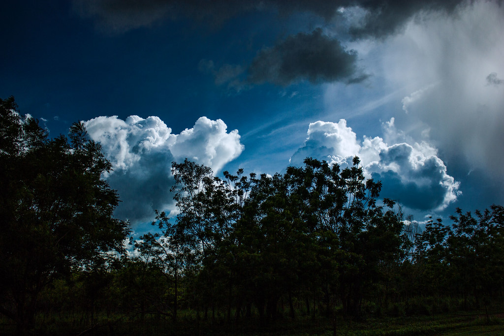 Heavy Rain Shower Heavy Rain Shower (Downburst?, right sid… Flickr