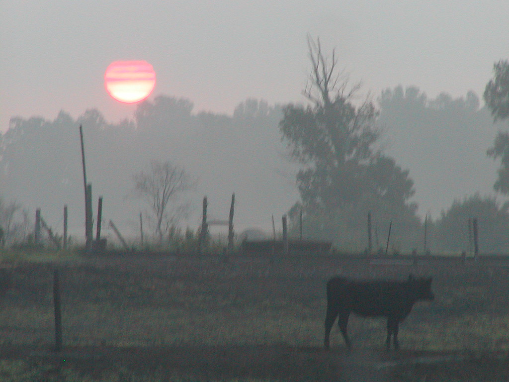 scenery06 Yellow Creek Outfitters Flickr