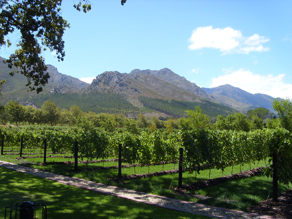 La Motte La Motte vineyard, Franschhoek LKBLKR Flickr