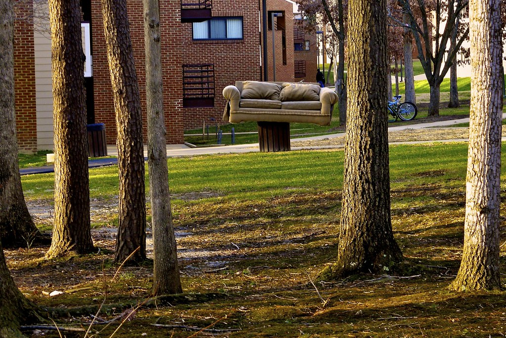 Someone at school is trying to throw away a sofa. Kelly Criscuolo