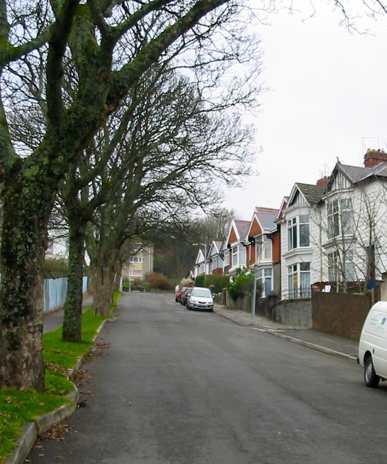 Swansea 2008 Cwmdonkin Drive GarethHuwDavies Flickr