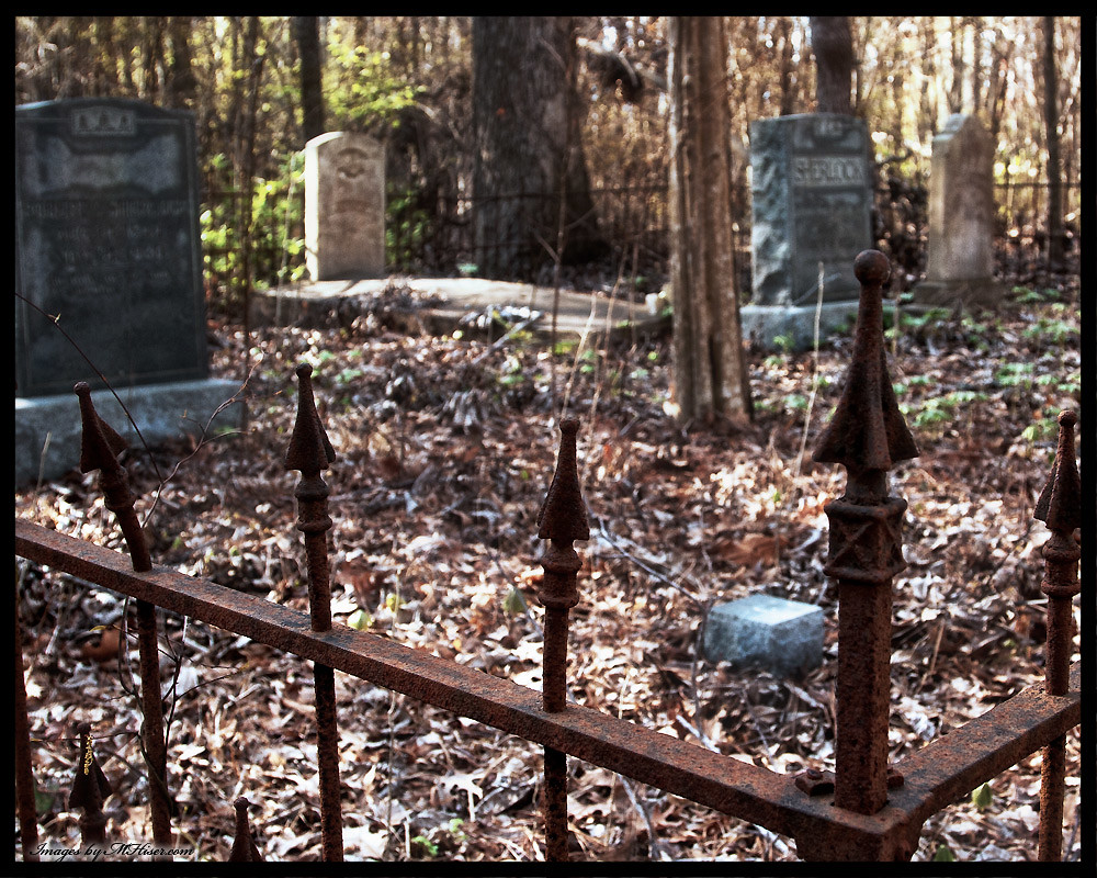 Houses For Rent Weeksville Nc at Lakesha Aleman blog