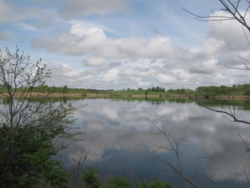 Goose Lake GreeneSullivan State Forest, Dugger Unit Wildl… Flickr