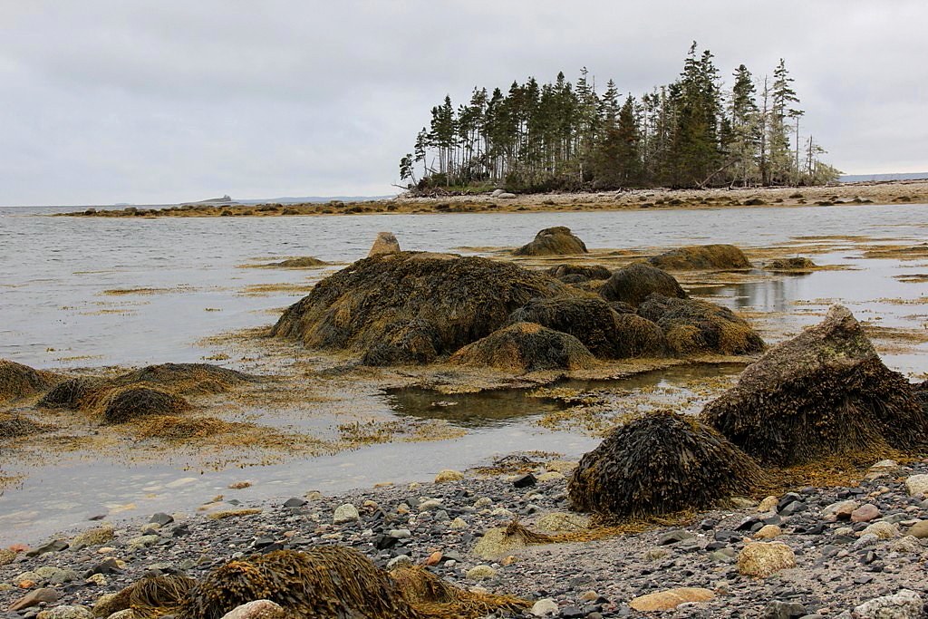 Glen Haven, Nova Scotia Low tide along the eastern shoreli… Flickr