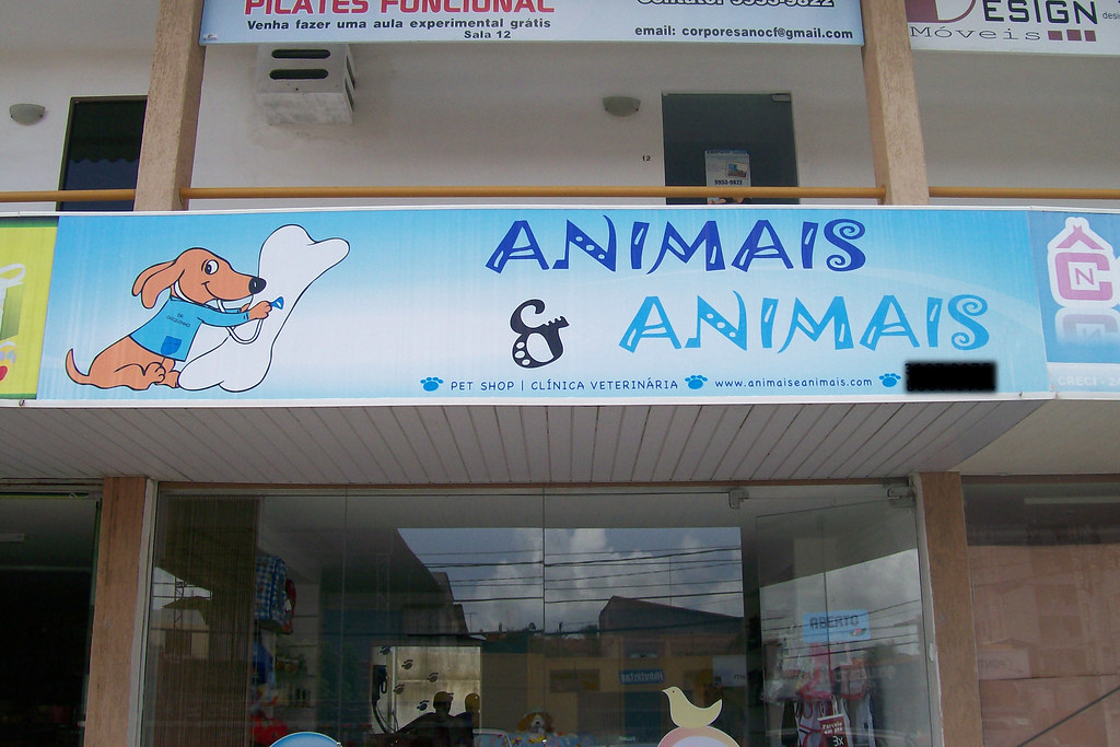 Fachada Pet Shop Animais e Animais Depois da vitrine fiz a… Flickr