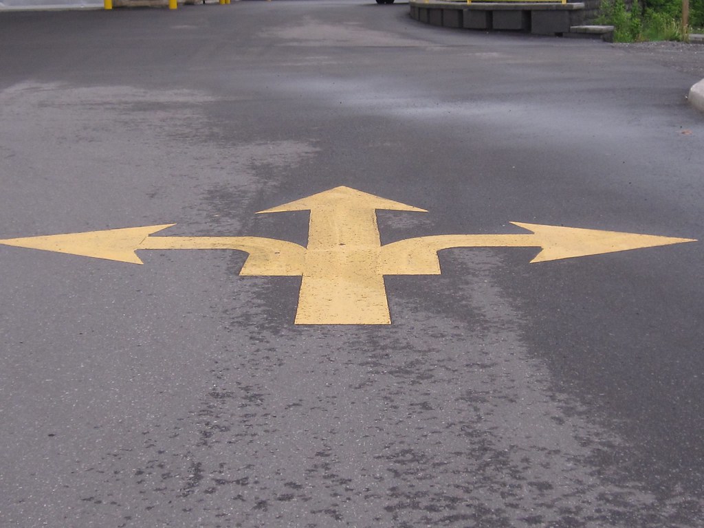 Frank, May 29, 2011 choice Which way do I go? Pat Pilon Flickr