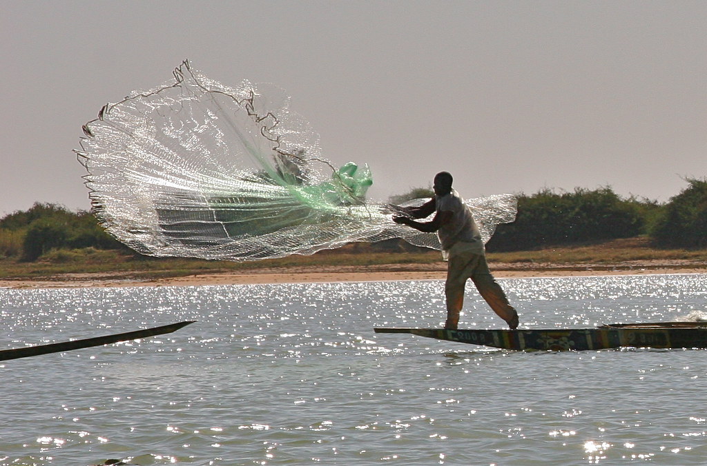 Casting A Wide Net Bozo fishermen along the Niger River Ma… **El