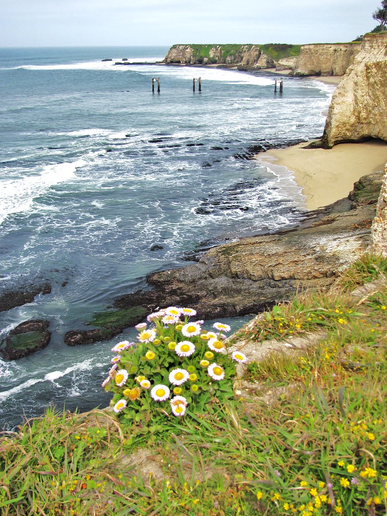 Davenport California craig kuziel Flickr