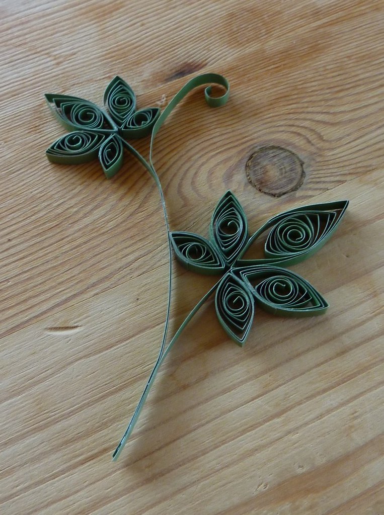 quilled vine first try Flickr