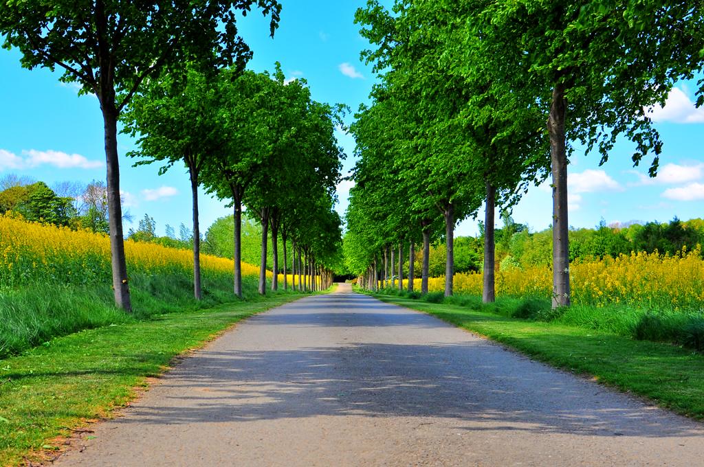 Dalton Bank 02 May Flickr