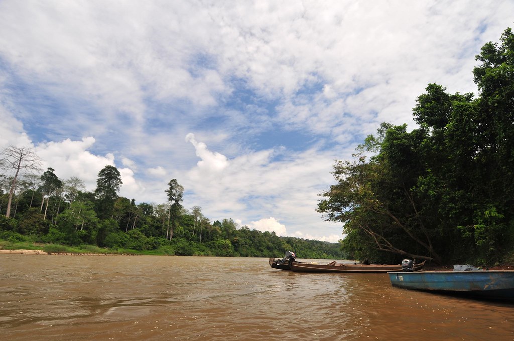 Minimalist Sungai Tembeling Awe-Inspiring