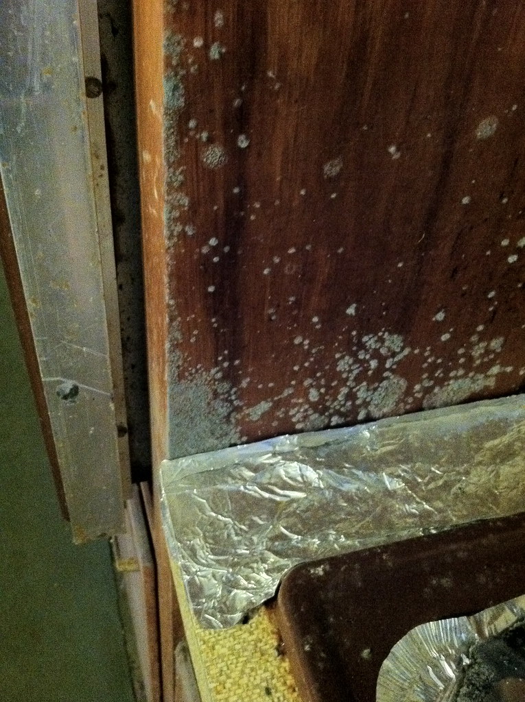 mold here is mold growing on the the sunlight co… Flickr