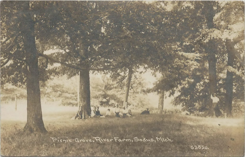 SW Sodus Benton Harbor St Joseph MI RPPC 1917 Picnic Grove… Flickr