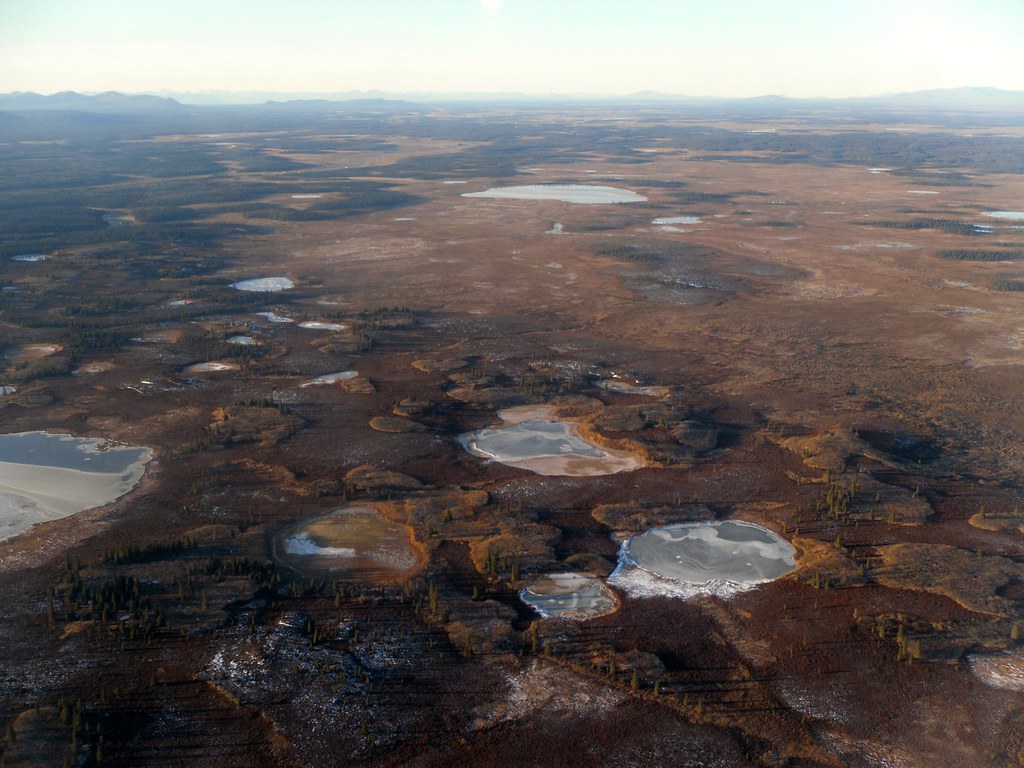 New Stuyahok Alicia Deaver Flickr