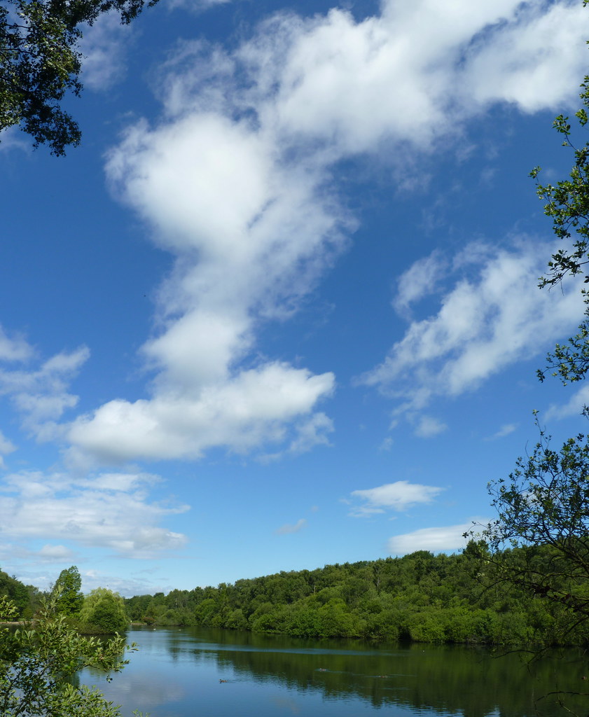 Golden Acre Park Dave Flickr