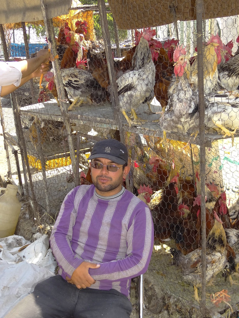 Poultry Vendor Outside Hegmataneh Site Hamadan Weste… Flickr