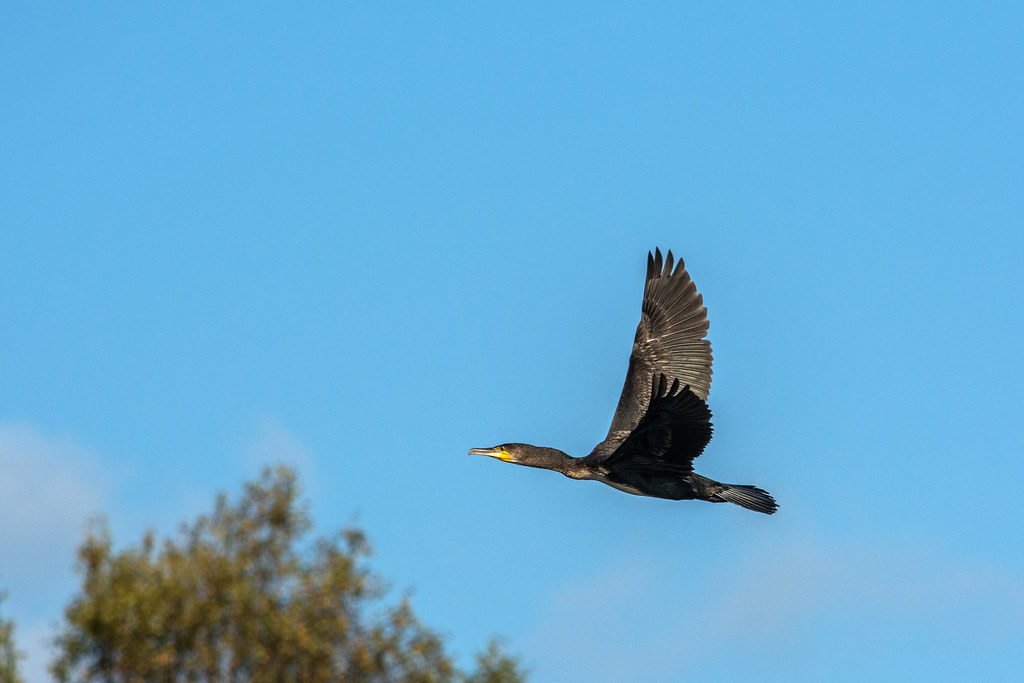 Lakes 007 Richard Farrow Flickr