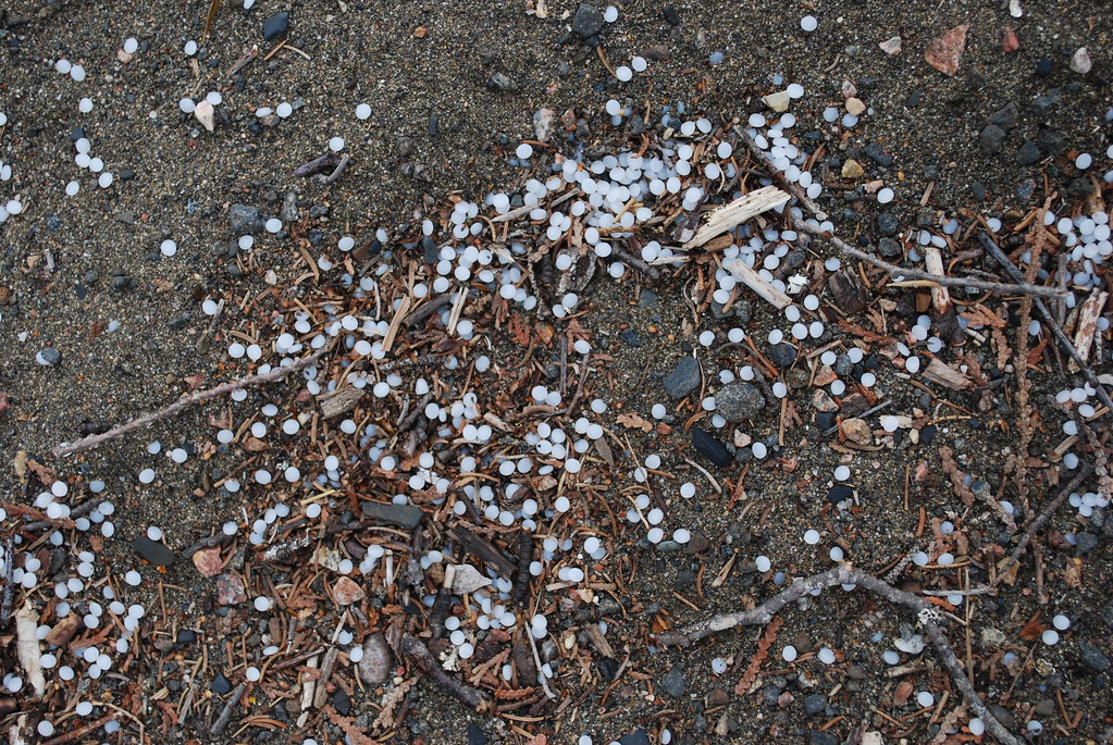 Plastic Pellets on L. Superior Beach Island Near Rossport, Ontario