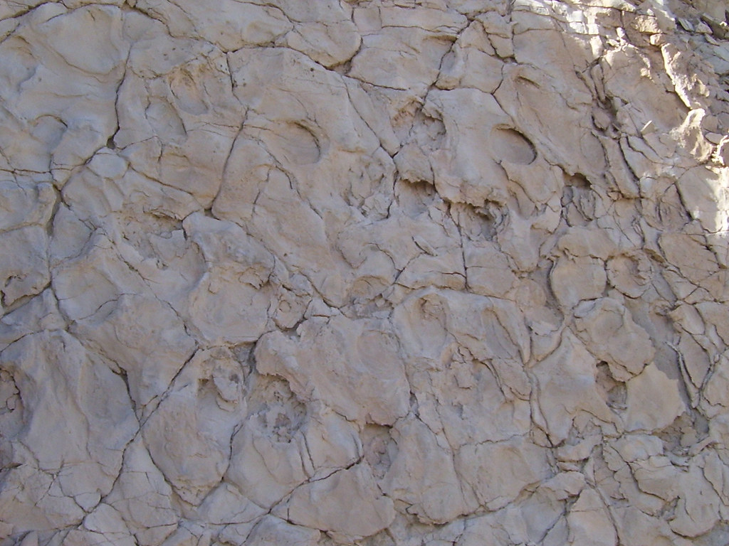 COPPER CANYON DEATH VALLEY 020 horse track buffalolady Flickr