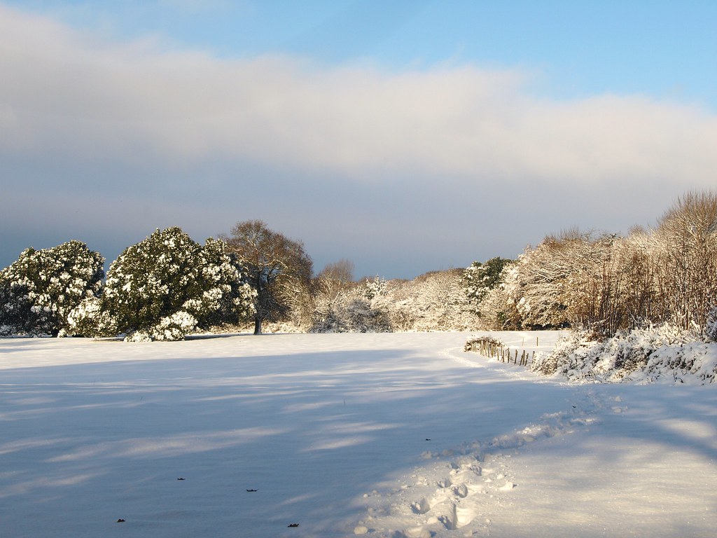 Field by Bystock Road, Exmouth All this snow arrived overn… Flickr