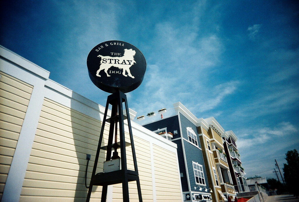 Stray Dog Cafe in New Buffalo, Michigan Stray Dog Cafe in … Flickr
