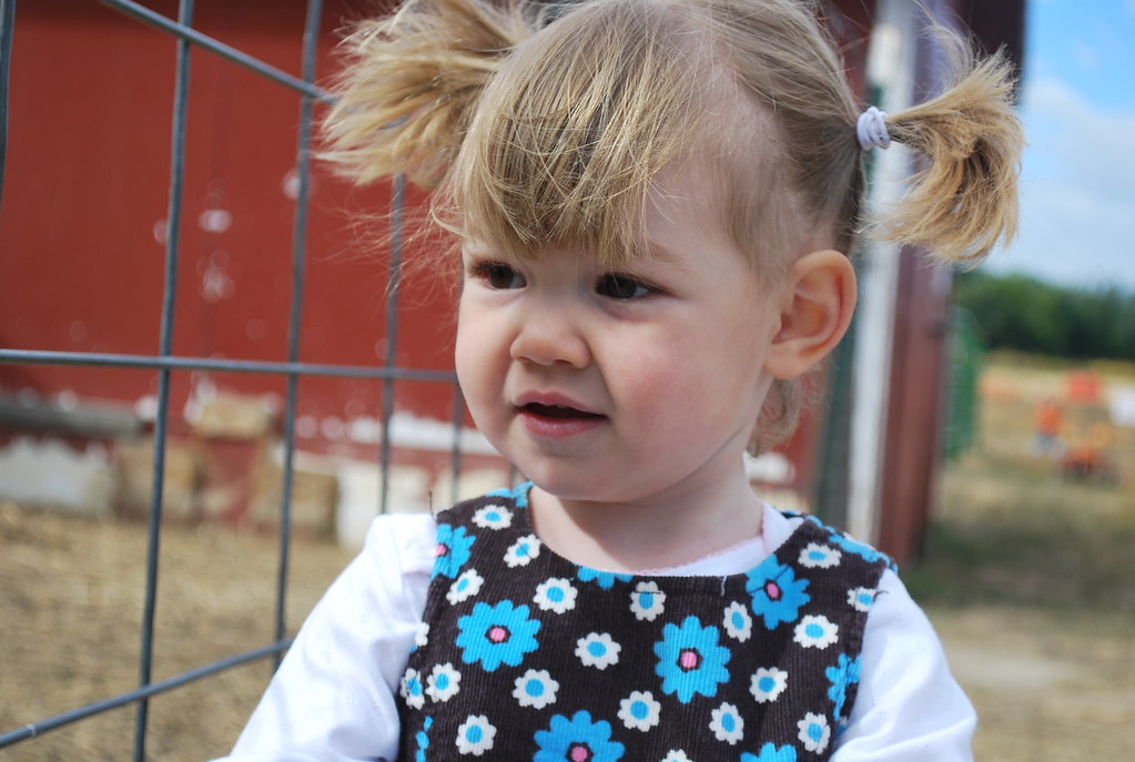 DSC_1904 Patrick, Molly & Ivy Morrow Flickr