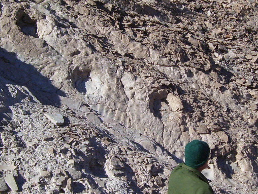 COPPER CANYON DEATH VALLEY buffalolady Flickr