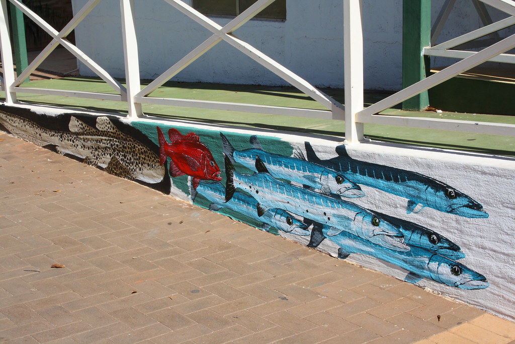 Ningaloo Reef Dreaming Mural by Mark Bell 9532 Flickr