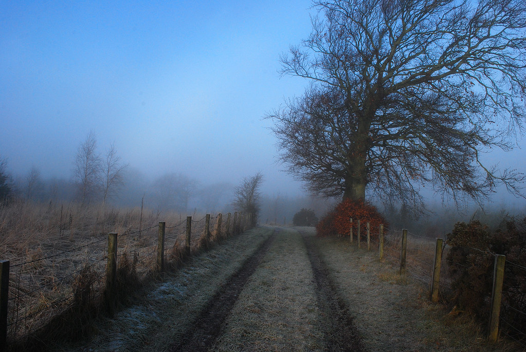 Limekiln Rd Earnock James Brown Flickr