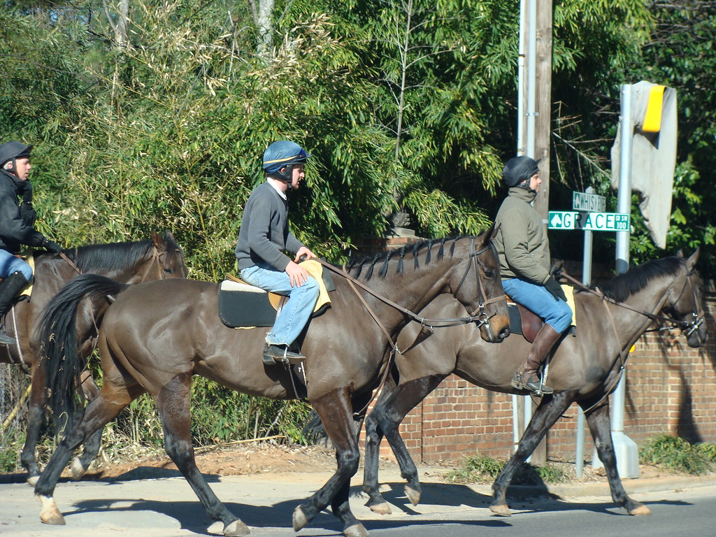 Horses crossing SC 19 Aiken, South Carolina, prides itself… Flickr