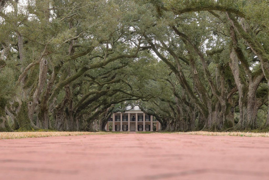 Oak Alley Plantation, LA Oak Alley Plantation, LA Flickr