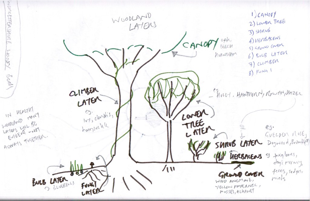 Woodland Layers London Permaculture Flickr