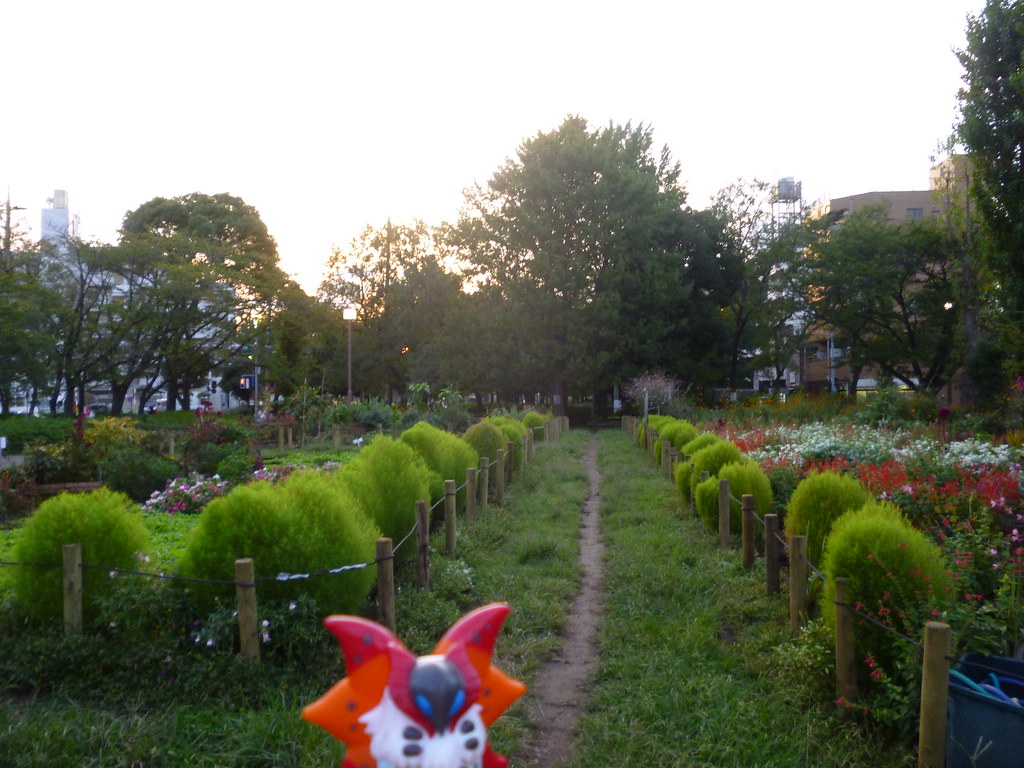 Volcarona in Ayase, Tokyo 15 (HigashiAyase Park) Kasadera Flickr