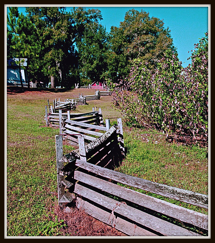 Fence Line, Dade City FL RB 67 ProS; 65mm lens; Fuji 160s… Flickr