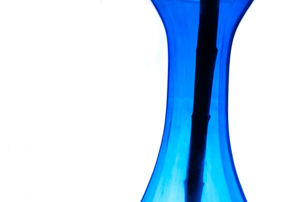 Vase Vine Just an outtake test shot from a different shoot… Flickr