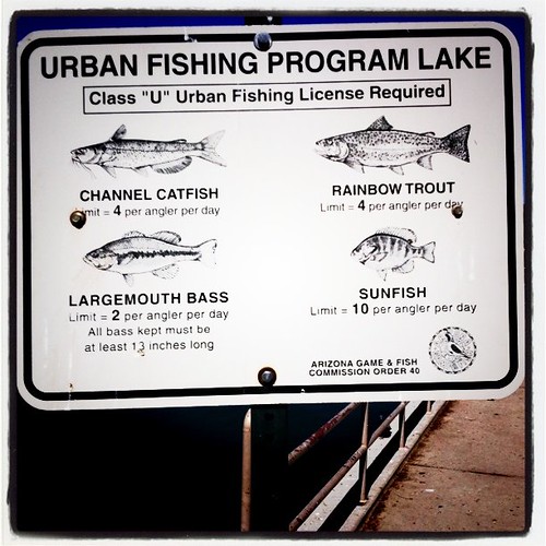 Urban Fishing Program Lake Steve Garfield Flickr