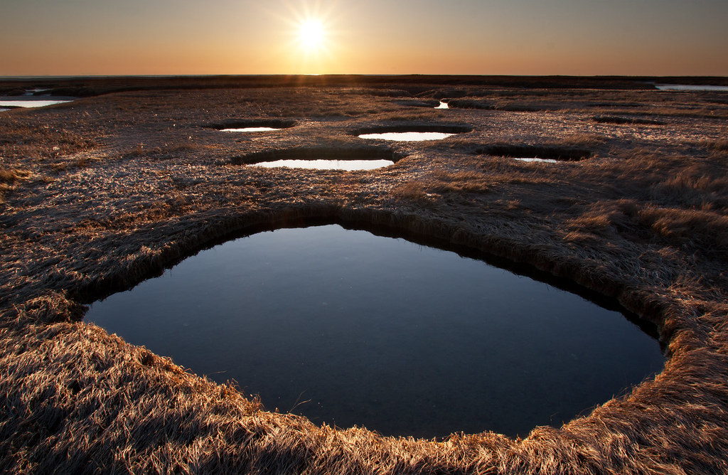 Blue Holes Got so messy hiking some salt water marsh on Ca… Flickr