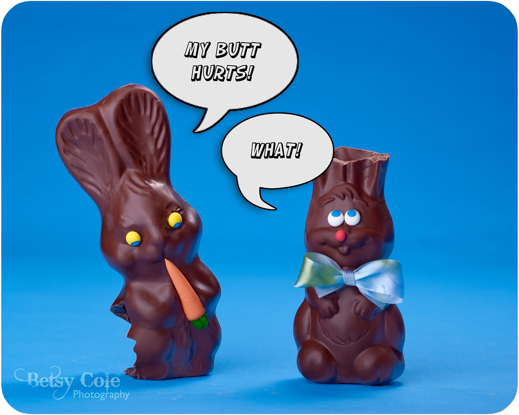 Chocolate Bunny Funny! Betsy Cole Photography Flickr