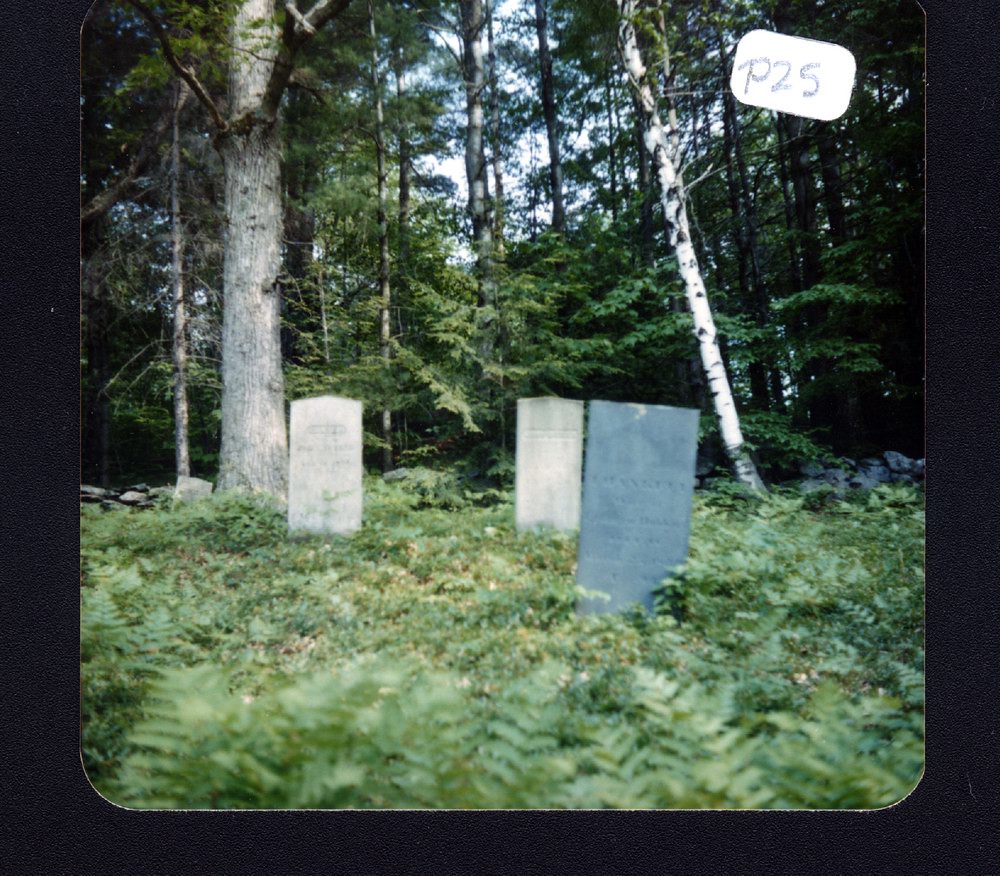 P0025 Butler Cemetery Butler Cemetery, Old Hinsdale Rd, 19… Flickr