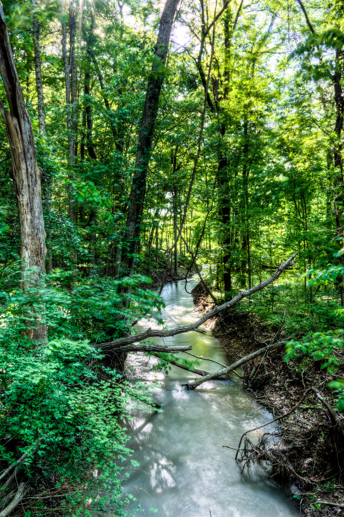 Radnor Lake State Park Radnor Lake Nashville Hiking Meetup… Flickr