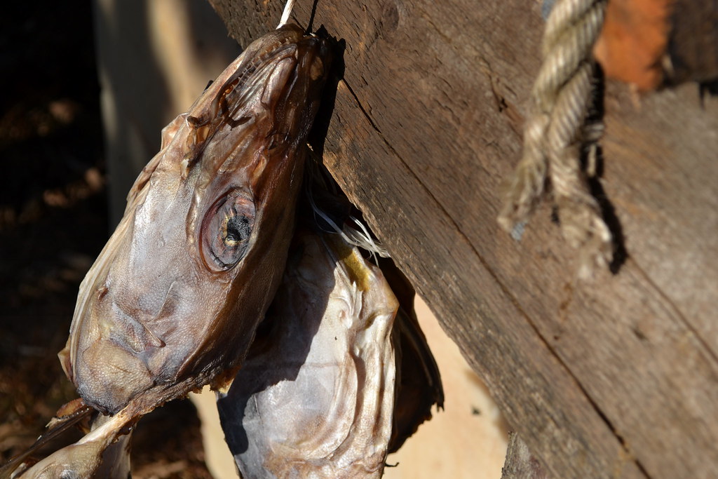 Dried cod head Copyright © 2011 Ester Sveinbjarnardottir A… Flickr